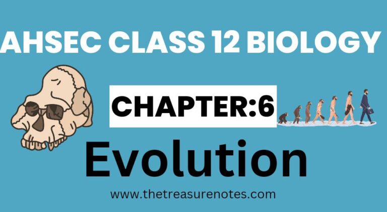 AHSEC Class 12 Biology Chapter: 6 Evolution Notes 2025